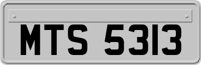 MTS5313