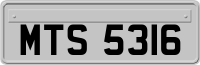 MTS5316