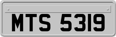 MTS5319
