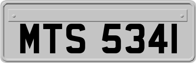 MTS5341