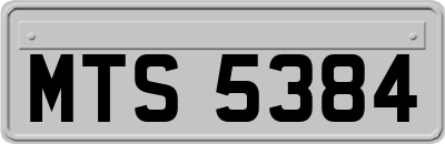 MTS5384