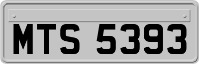 MTS5393