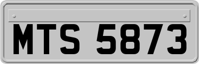 MTS5873