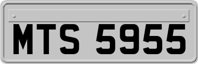 MTS5955