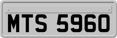 MTS5960