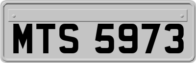 MTS5973