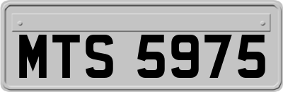 MTS5975