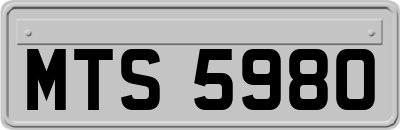 MTS5980