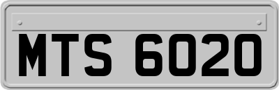 MTS6020