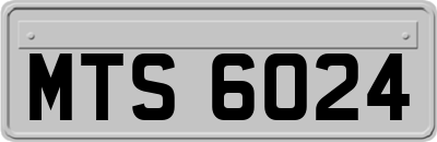 MTS6024
