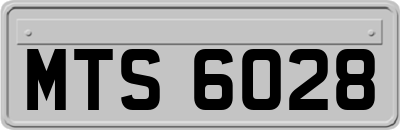 MTS6028