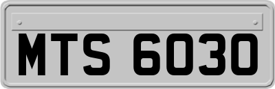 MTS6030