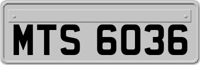 MTS6036
