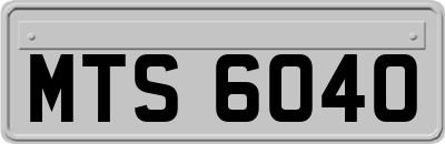 MTS6040