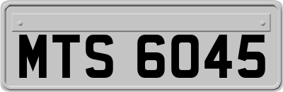 MTS6045