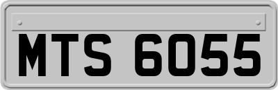 MTS6055