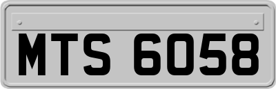 MTS6058