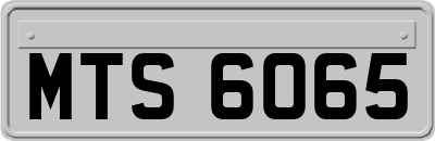 MTS6065