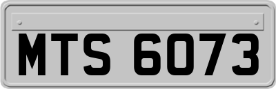 MTS6073