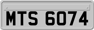 MTS6074