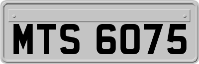 MTS6075