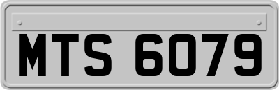 MTS6079