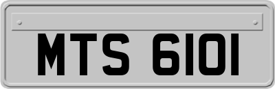 MTS6101