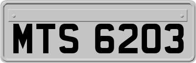 MTS6203