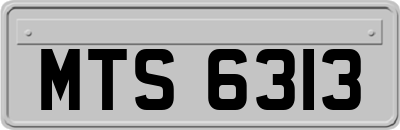 MTS6313