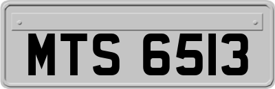 MTS6513