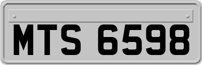 MTS6598