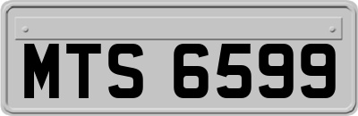 MTS6599