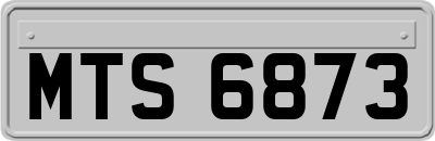 MTS6873