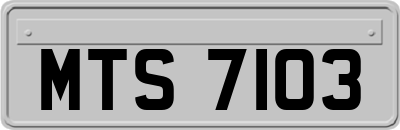 MTS7103