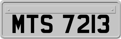 MTS7213
