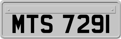MTS7291