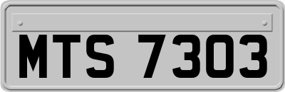 MTS7303