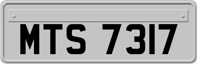 MTS7317