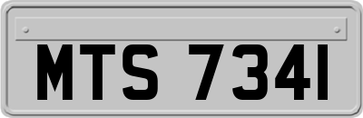 MTS7341