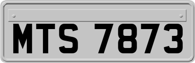 MTS7873