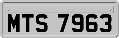 MTS7963