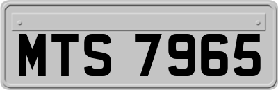MTS7965