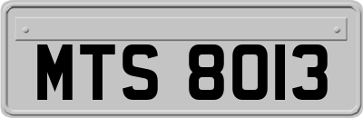 MTS8013