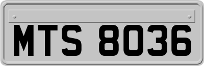 MTS8036