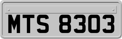 MTS8303