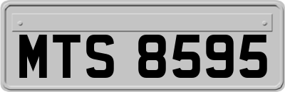 MTS8595