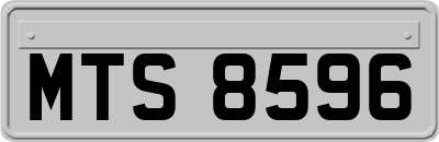 MTS8596