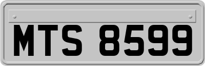 MTS8599