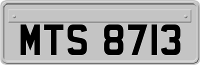 MTS8713