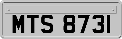 MTS8731